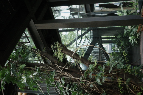 咖啡店外长满植物的庭院